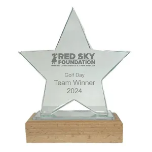 16cm Glass Star Award