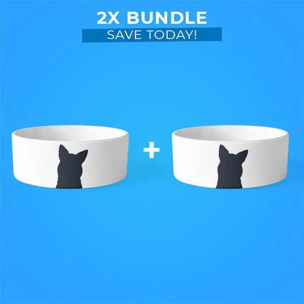 2x Pet Bowls Bundle