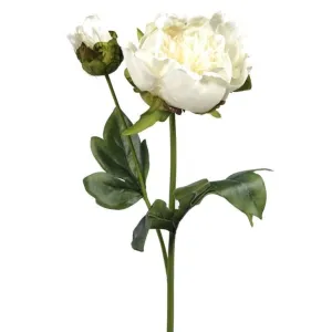 CB Imports 48cm Vintage Peony - Cream