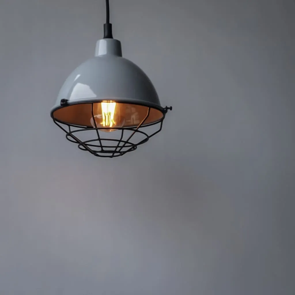 Flh110 Retro Modern Grey Pendant Industrial Lighting Fixture