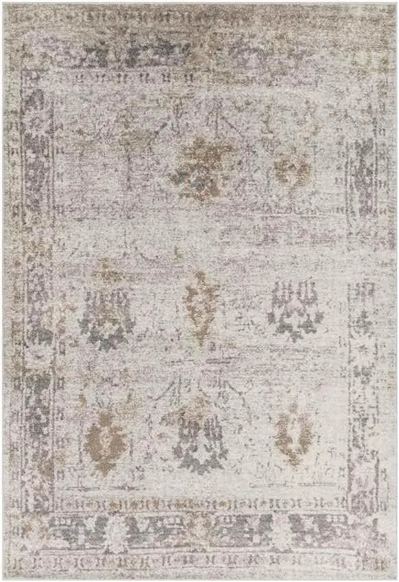 Hatsum Traditional Beige Area Rug Carpet for Living Room Bedroom or Kitchen