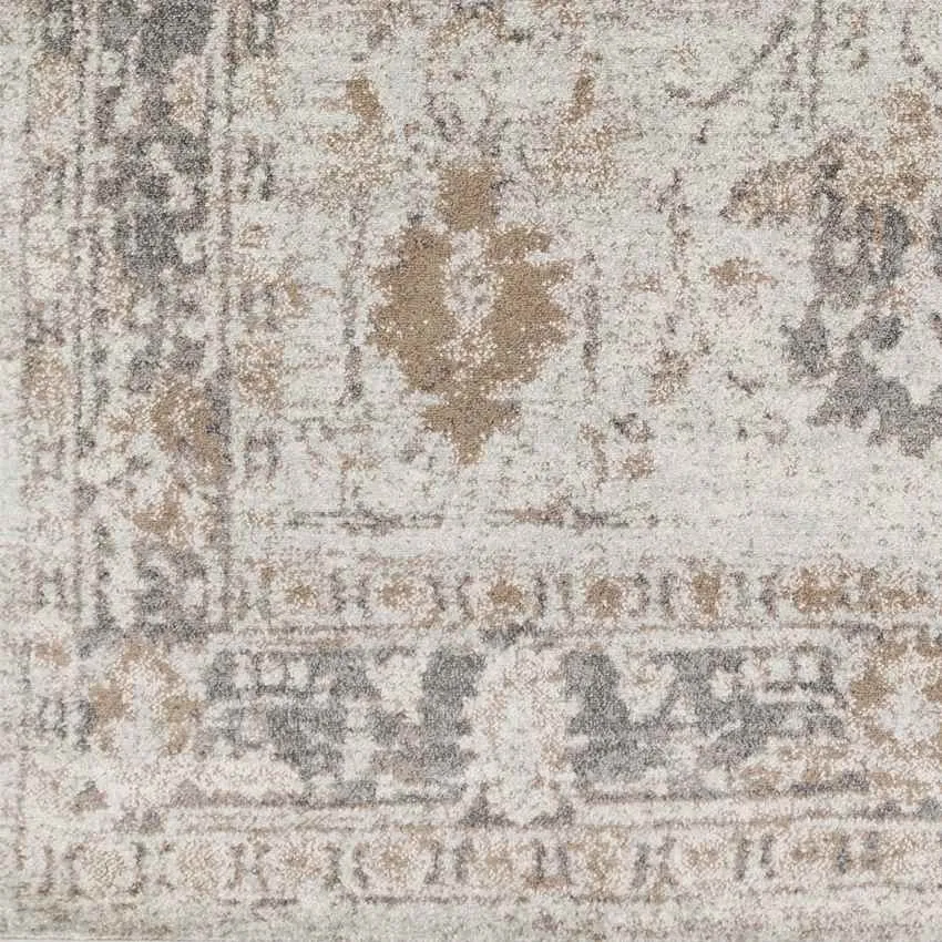 Hatsum Traditional Beige Area Rug Carpet for Living Room Bedroom or Kitchen