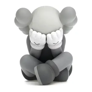 Kaws Separated Vinyl Figure, Gray