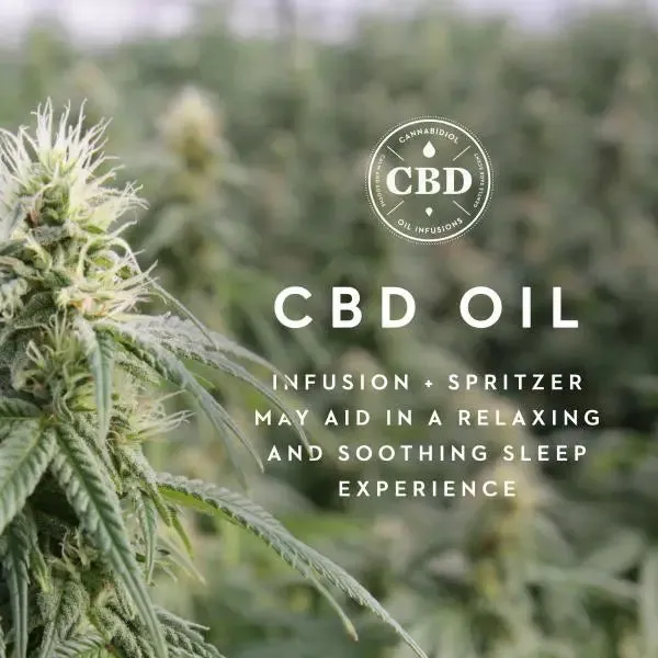 Zoned Dough™   CBD Oil